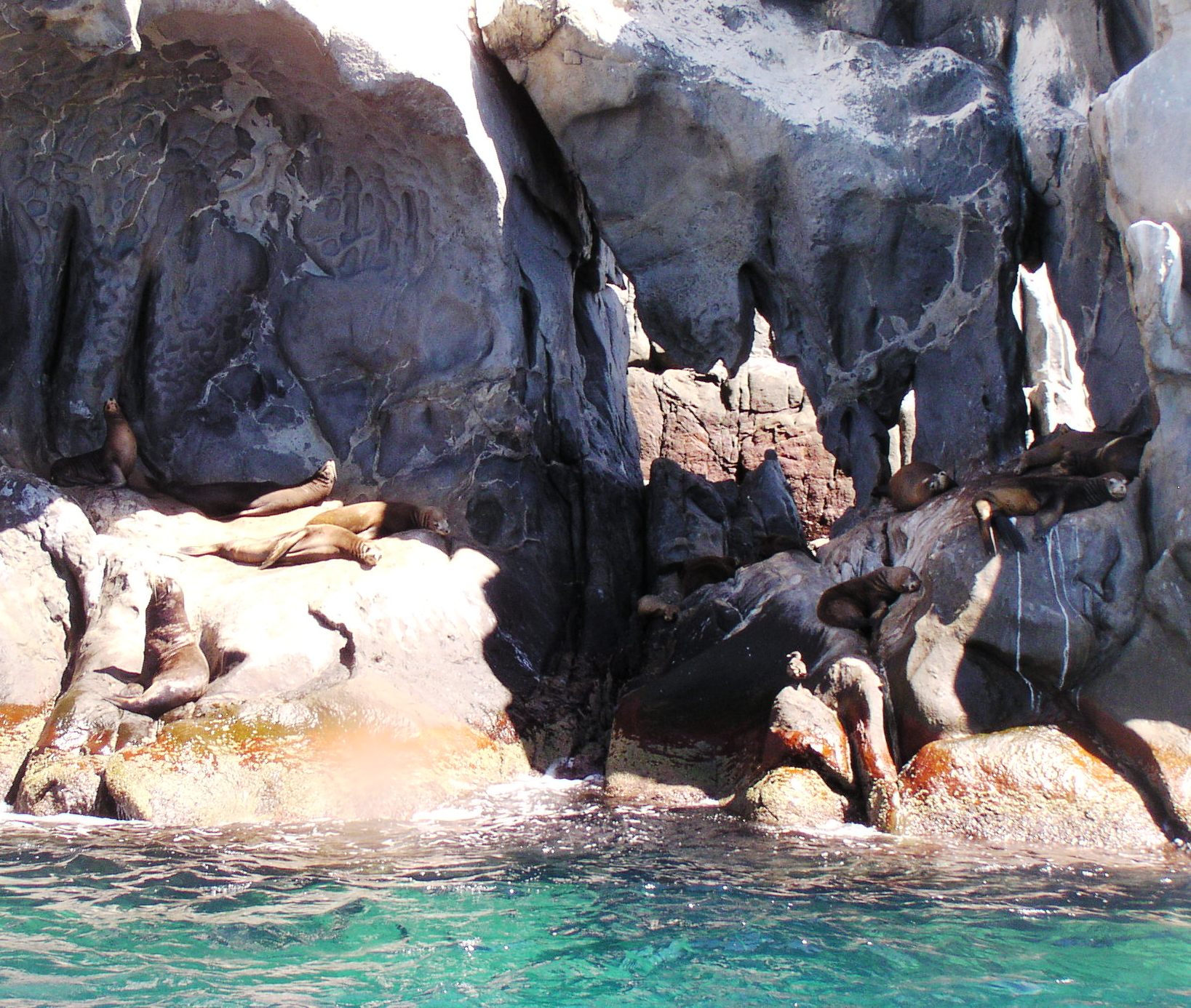 San Pedro Island San Carlos Tours San Carlos Sonora Mexico