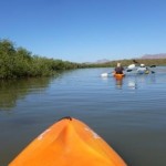 kayak estuary