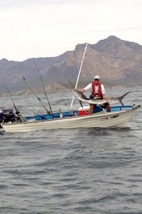 marlin San Carlos sonora