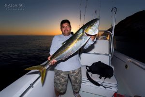 yellowtail fishing by rada sc