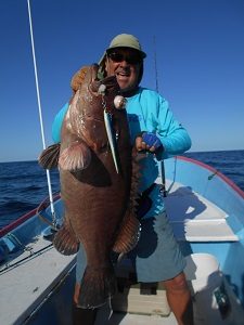 grouper san carlos