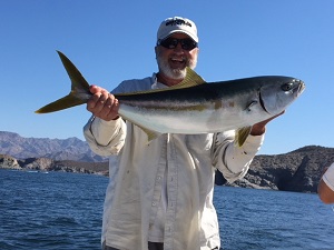 Sonora mexico fishing