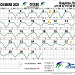 San Carlos Tide Chart December 2025