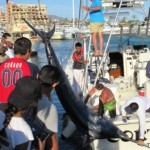 International Billfish Tournament huge fish