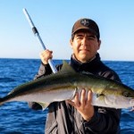 fishing report yellowtail