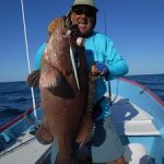 grouper san carlos