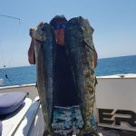 august fishing san carlos sonora