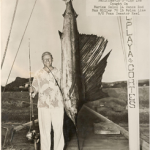 fishing san carlos