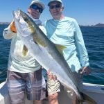 San Carlos Fishing Report yellowtail caught 2026-05-12