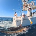 San Carlos Fishing Report 2026-05-27