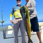 Yellowtail fishing in San Carlos April 2026