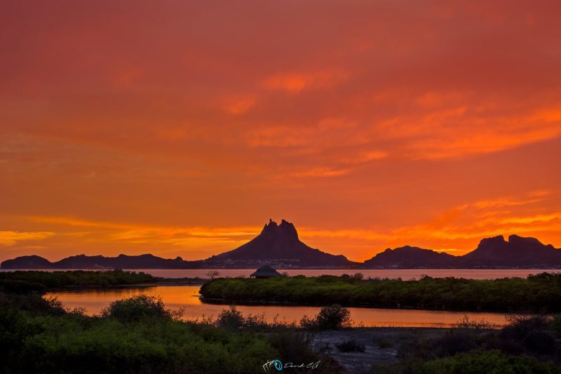 Sunset over the Sea of Cortez in San Carlos Sonora